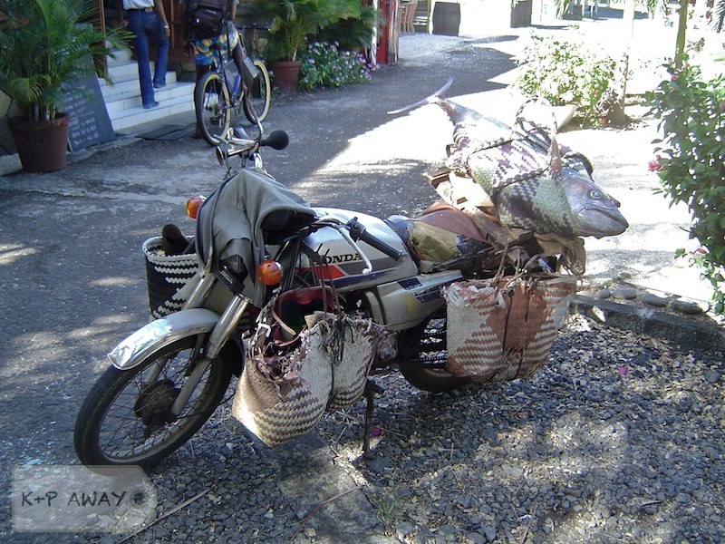 Fish-go-home delivery