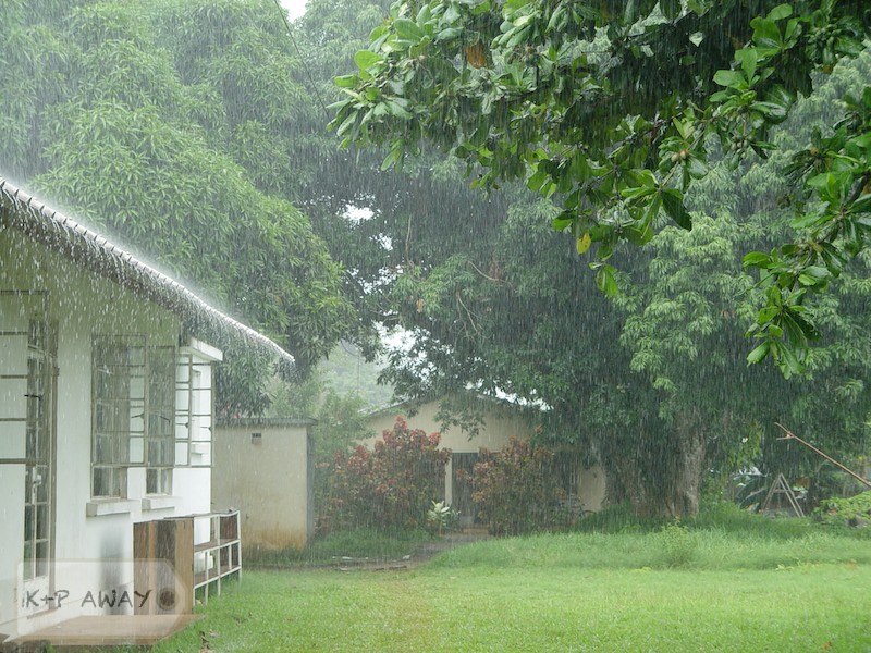 Tropical shower