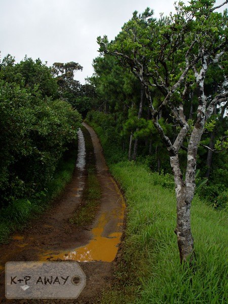 Trek trail