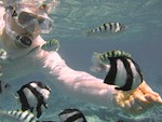 Underwater world