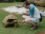 Fauna