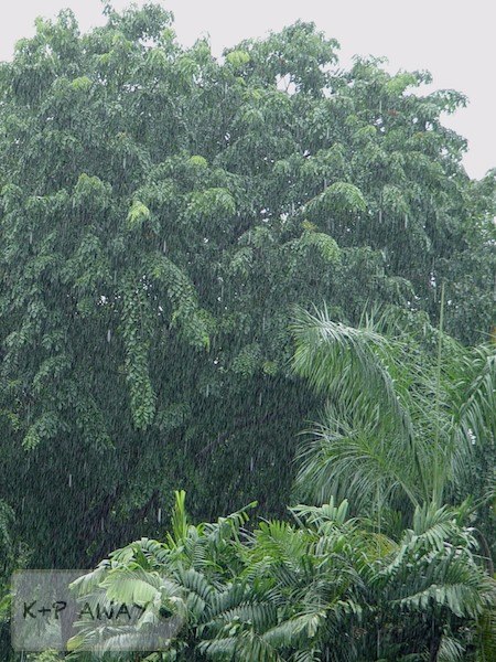 Rain in Singapore