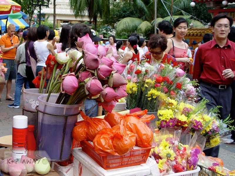 Temple offerings - lotuses