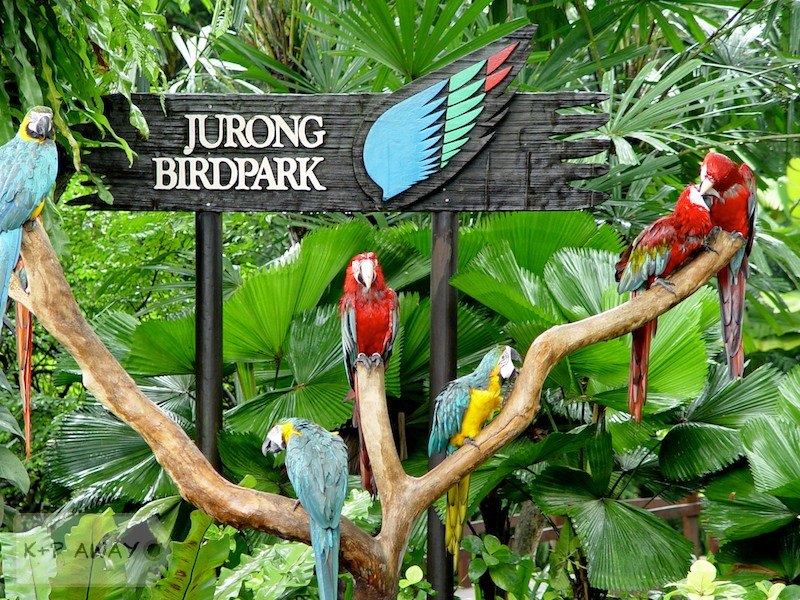 Jurong birdpark main gate