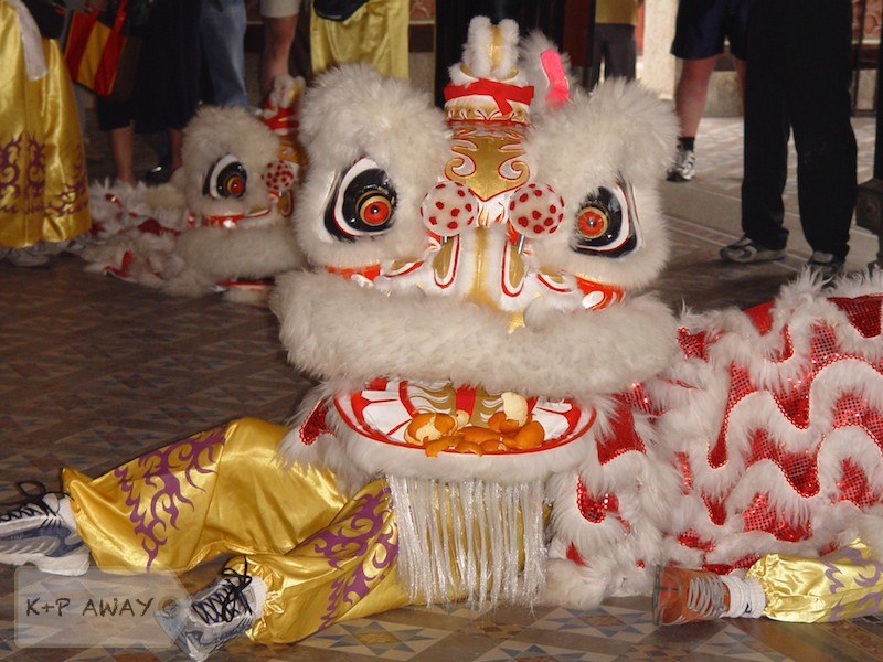 Lion dance II